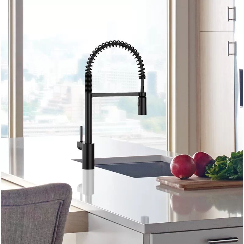 5923BL Align Pull Down Single Handle Kitchen Faucet | Wayfair Professional