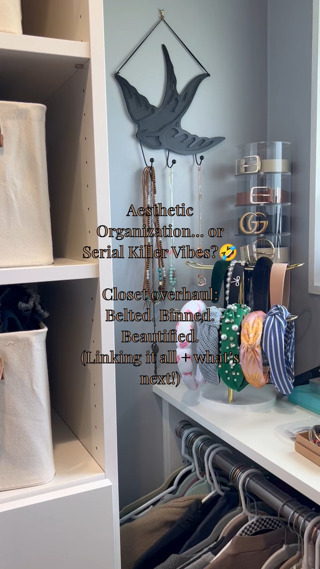 Closet clean-out: aesthetic or unhinged?
12 linen baskets (they come in 2 packs!), belt organizer, headband stand, purse organizer… and I’m just getting started. Linking it all here + what’s next (hint: shoes are shaking).

 #closetorganization #momlifechaos #organizedbutmakeitcute

#LTKFamily #LTKHome #LTKFindsUnder50