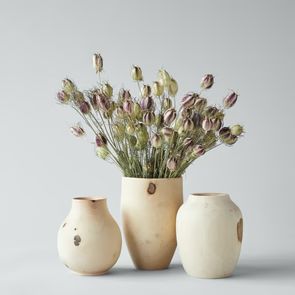 White Walnut Plum Vase, Medium | Bloomist