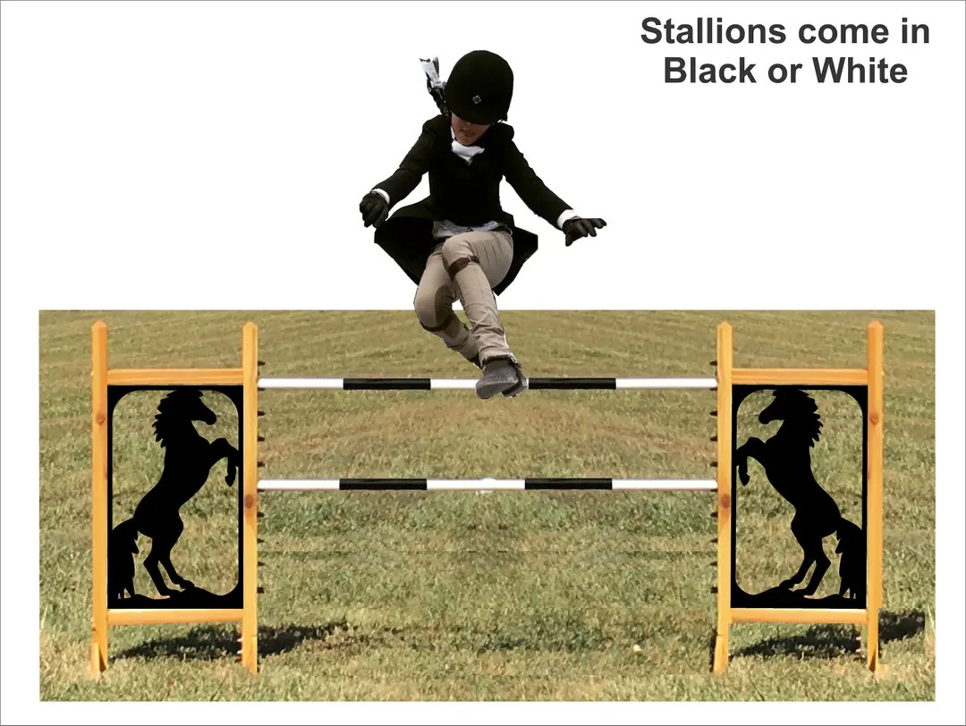 Stallion - Kid Jump - Foot Jump -  Horseless Horse Jump | Etsy (US)