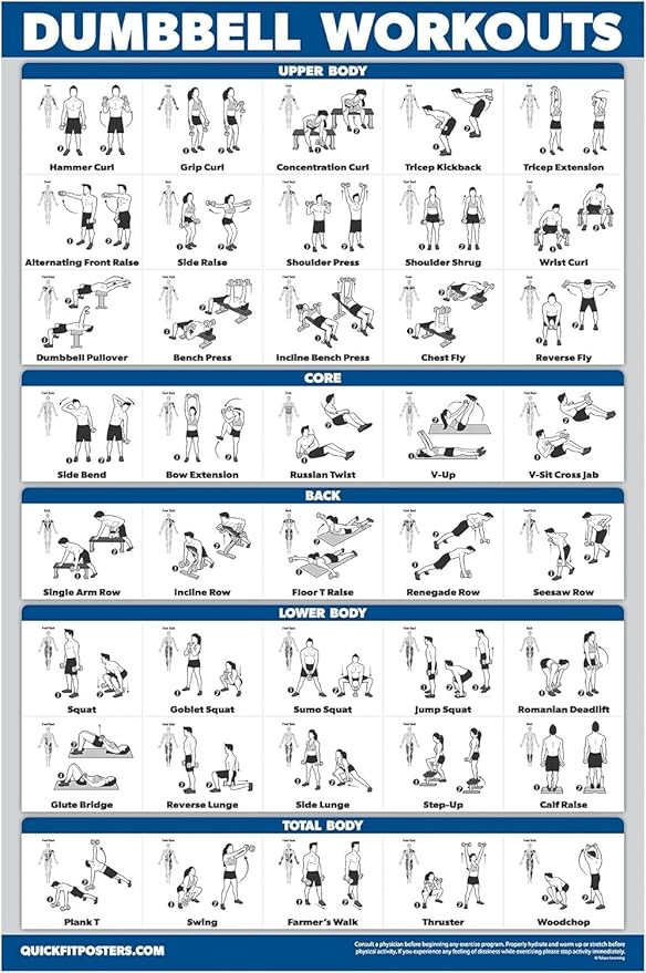 Palace Learning Dumbbell Workout Exercise Poster - Free Weight Body Building Guide | Home Gym Cha... | Amazon (US)