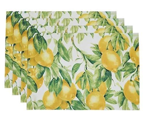 Fennco Styles Lemon Printed Design Placemats 13 x 19 Inch, Set of 4 for Home DÃ©cor, Banquets a... | Walmart (US)