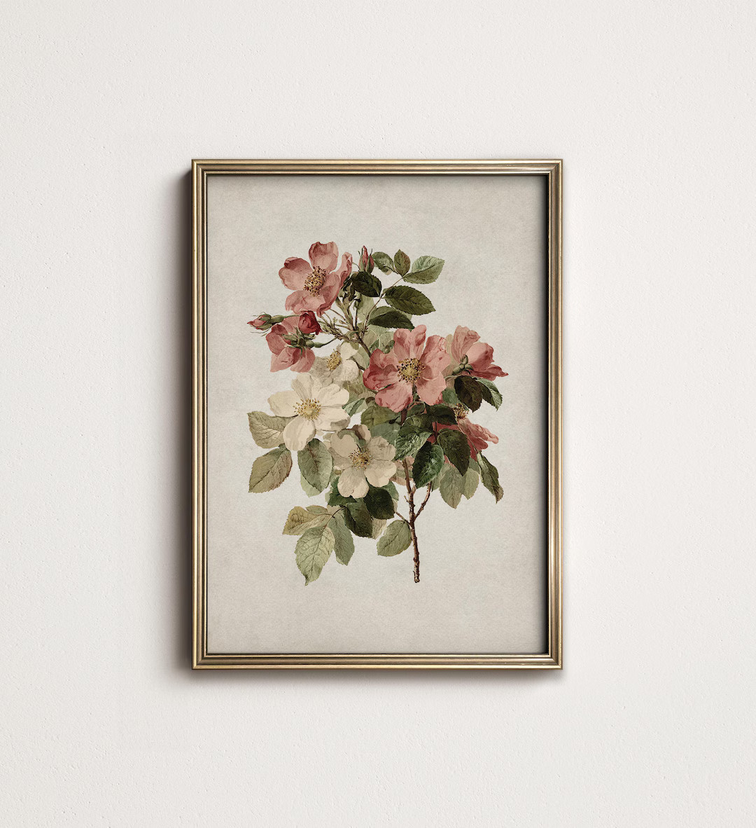 Botanical Digital Art PRINTABLE, Wild Rose Wall Art, Antique Pink Farmhouse French Country Flower... | Etsy (US)