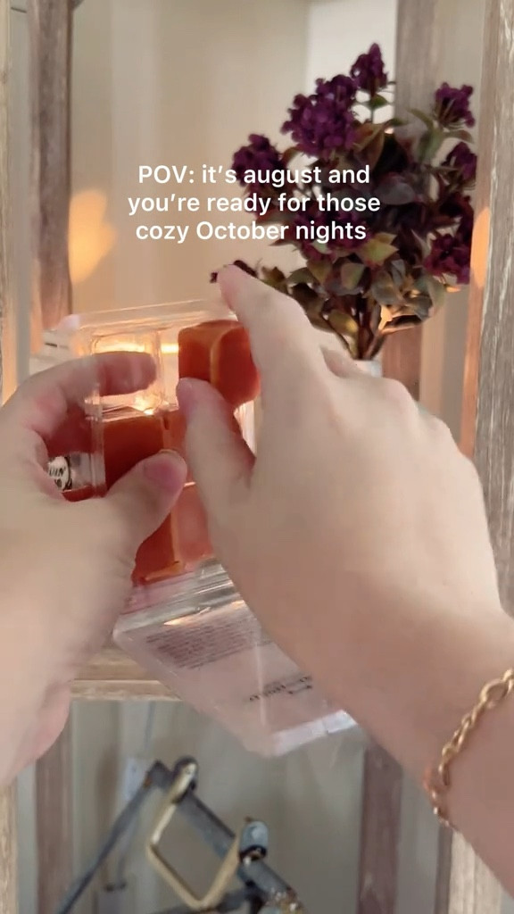 Cozy fall decor 💜

Fall home decor, fall decor, shelf lamp, standing lamp, candle warmer, donut vase, fall florals, pumpkin decor, fall living room decor, living room decor

#LTKSeasonal #LTKunder50 #LTKunder100 #LTKFind #LTKstyletip #LTKsalealert #LTKhome