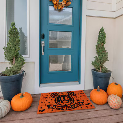 Disney 18-in x 30-in Orange Coir Non-Slip Grip Indoor or outdoor Door Mat Lowes.com | Lowe's