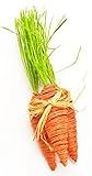 Thompson & Elm 3 Count Decorative Rattan Carrots, Small | Amazon (US)