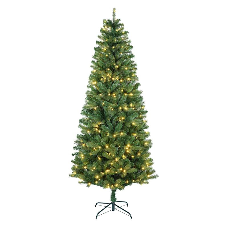 (B22) Pre-Lit LED Hardwicke Spruce Christmas Tree, 7' | At Home