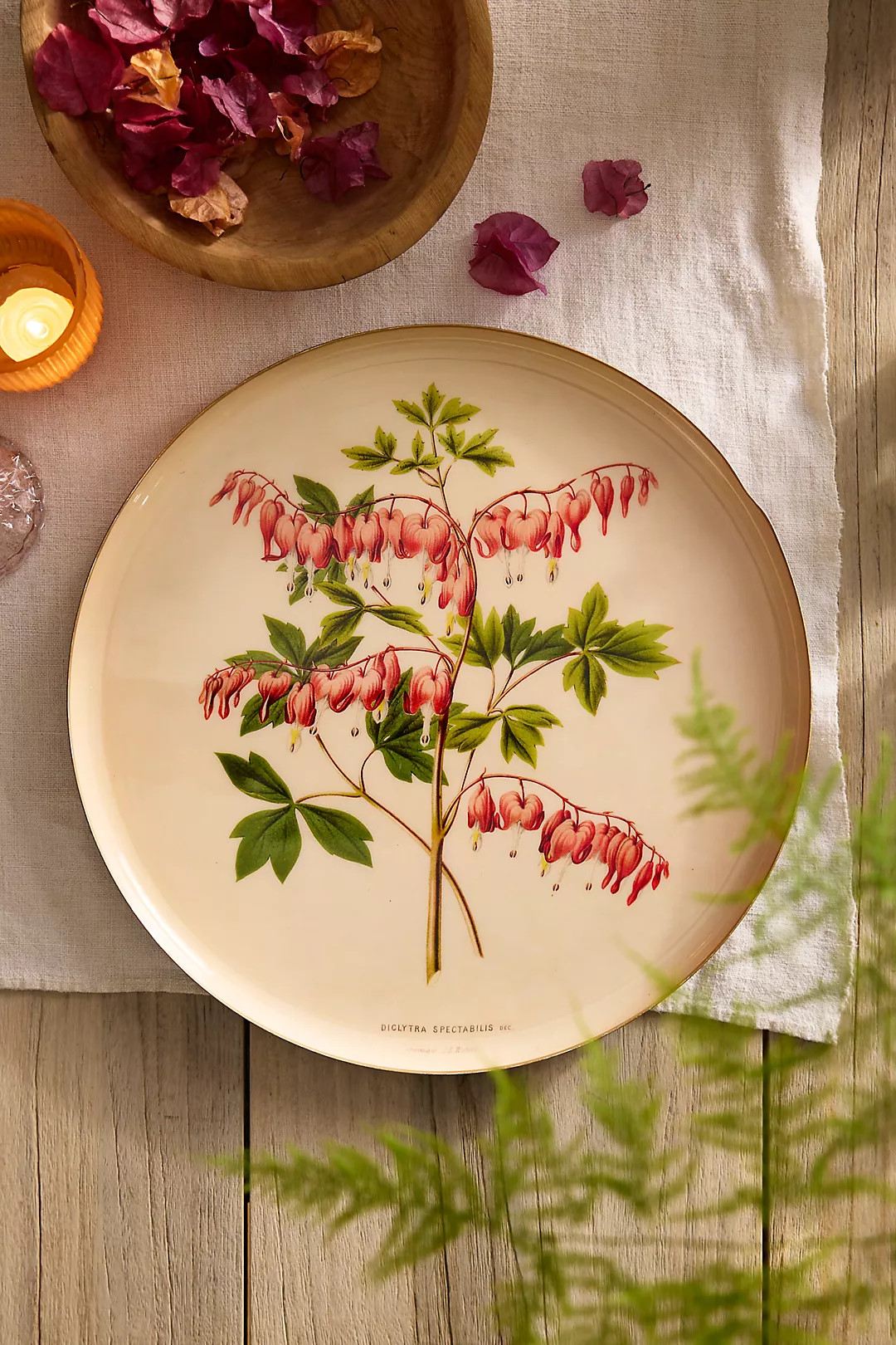 Printed Archival Tray, Round | Anthropologie (US)