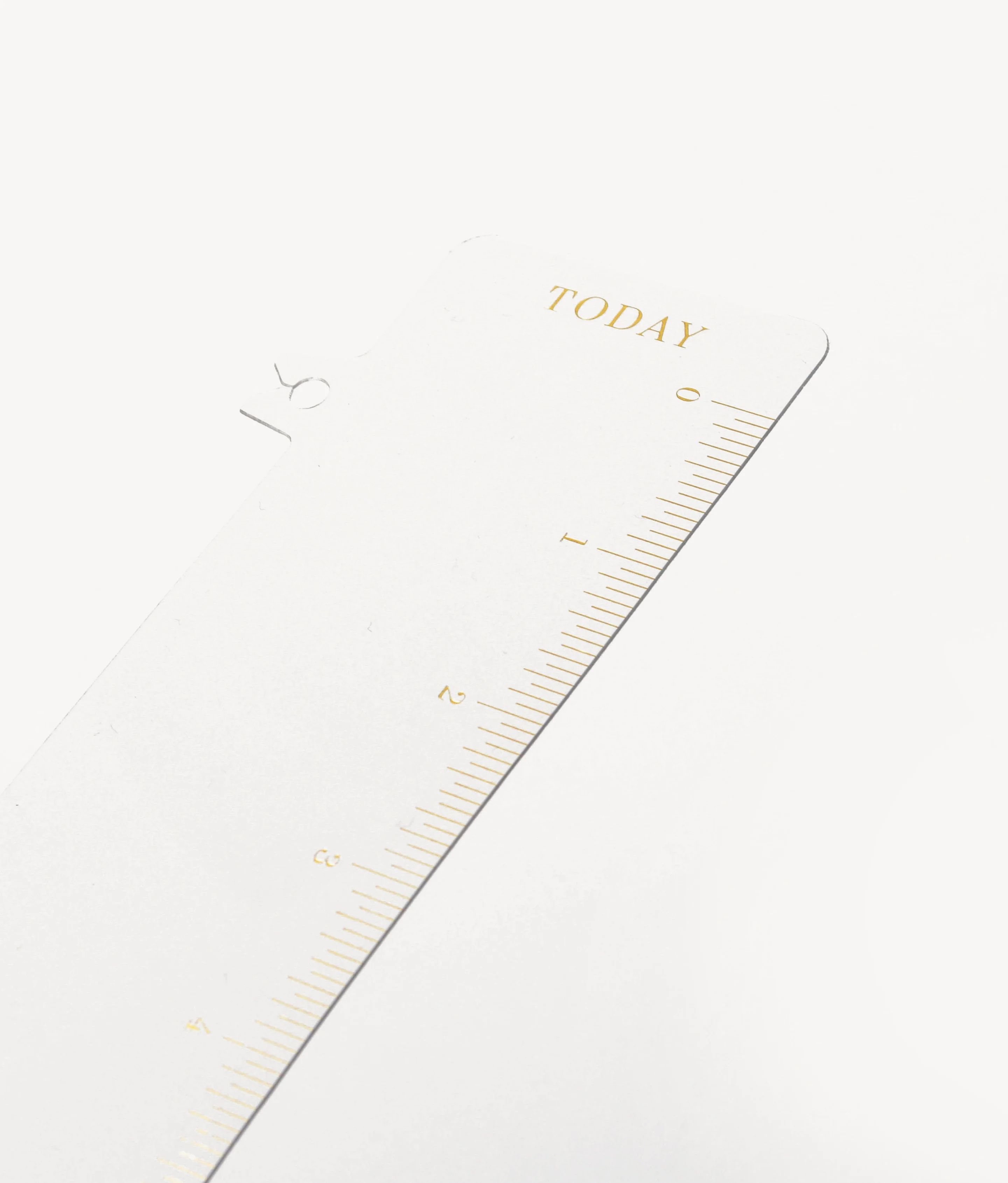 Flagship Bookmark Planner Ruler | Day Designer
