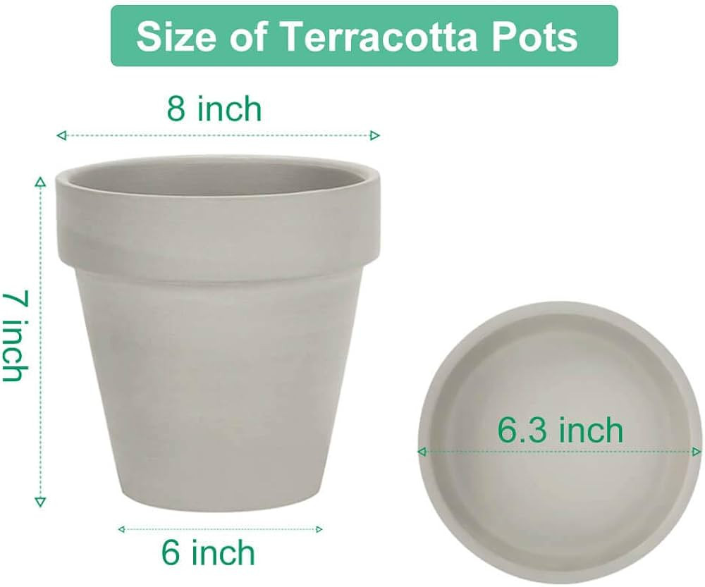 vensovo Gray 8 Inch Terracotta Pot for with Drainage - 2 Pack Large Terra Cotta Plant Pot with Sa... | Amazon (US)