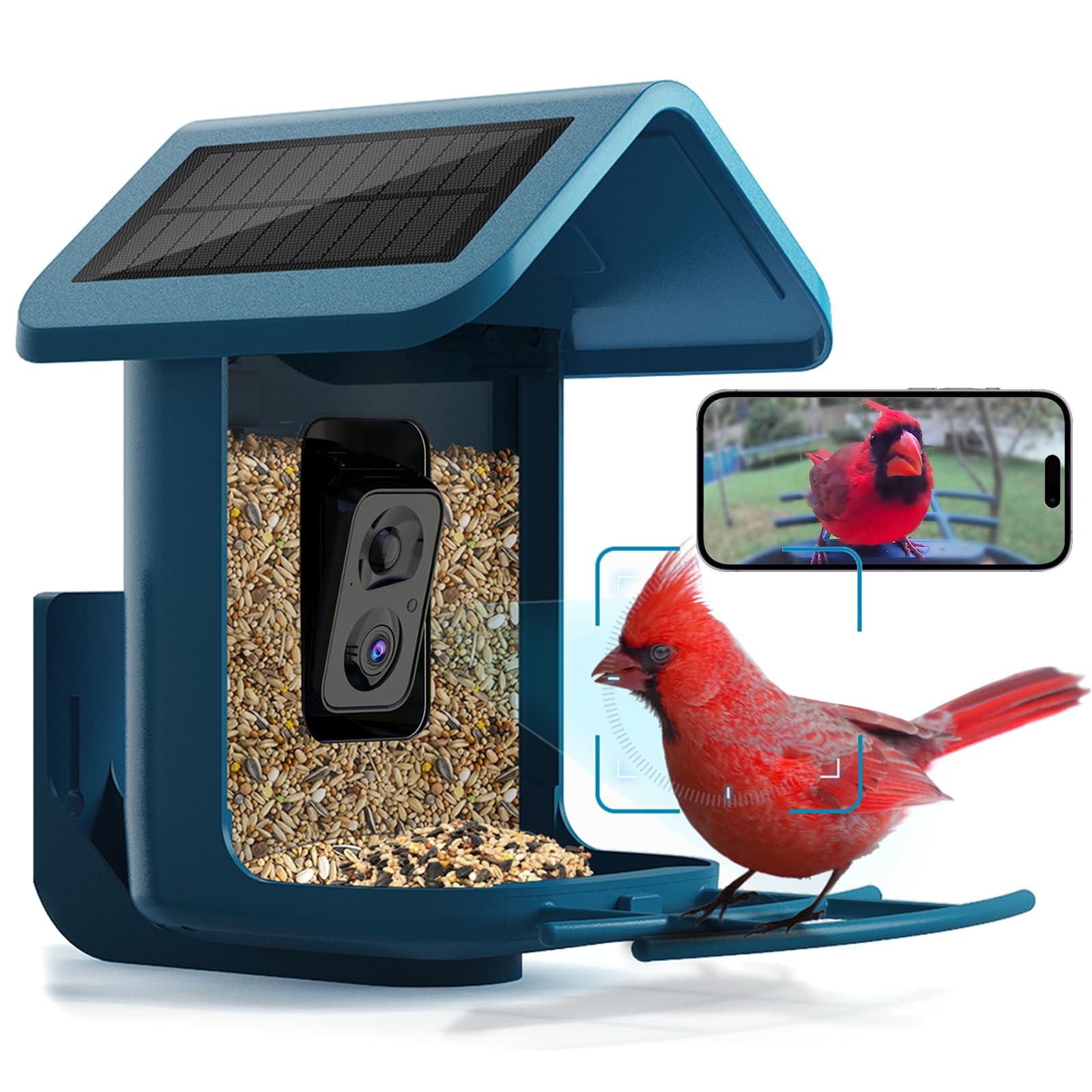 Bird Feeder with Camera Solar Powered : Smart Camera Bird Feeder 2K Live Steam for Outdoor, 5MP P... | Amazon (US)
