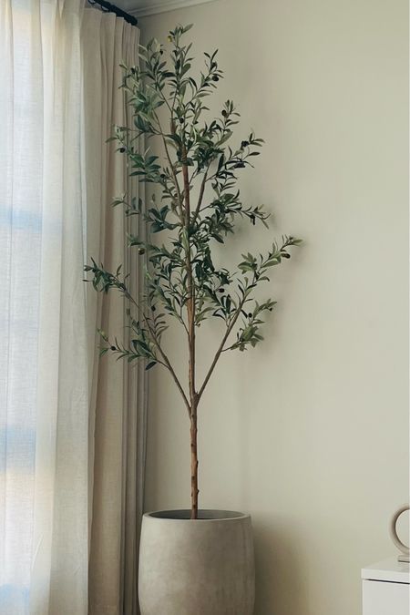 Amazon Modern Organic Finds 🍃 
This tall skinny olive tree and weathered cement vase are paired beautifully with these amazon faux linen curtains that are pleated and adjustable. 

#LTKunder50 #LTKhome #LTKsalealert