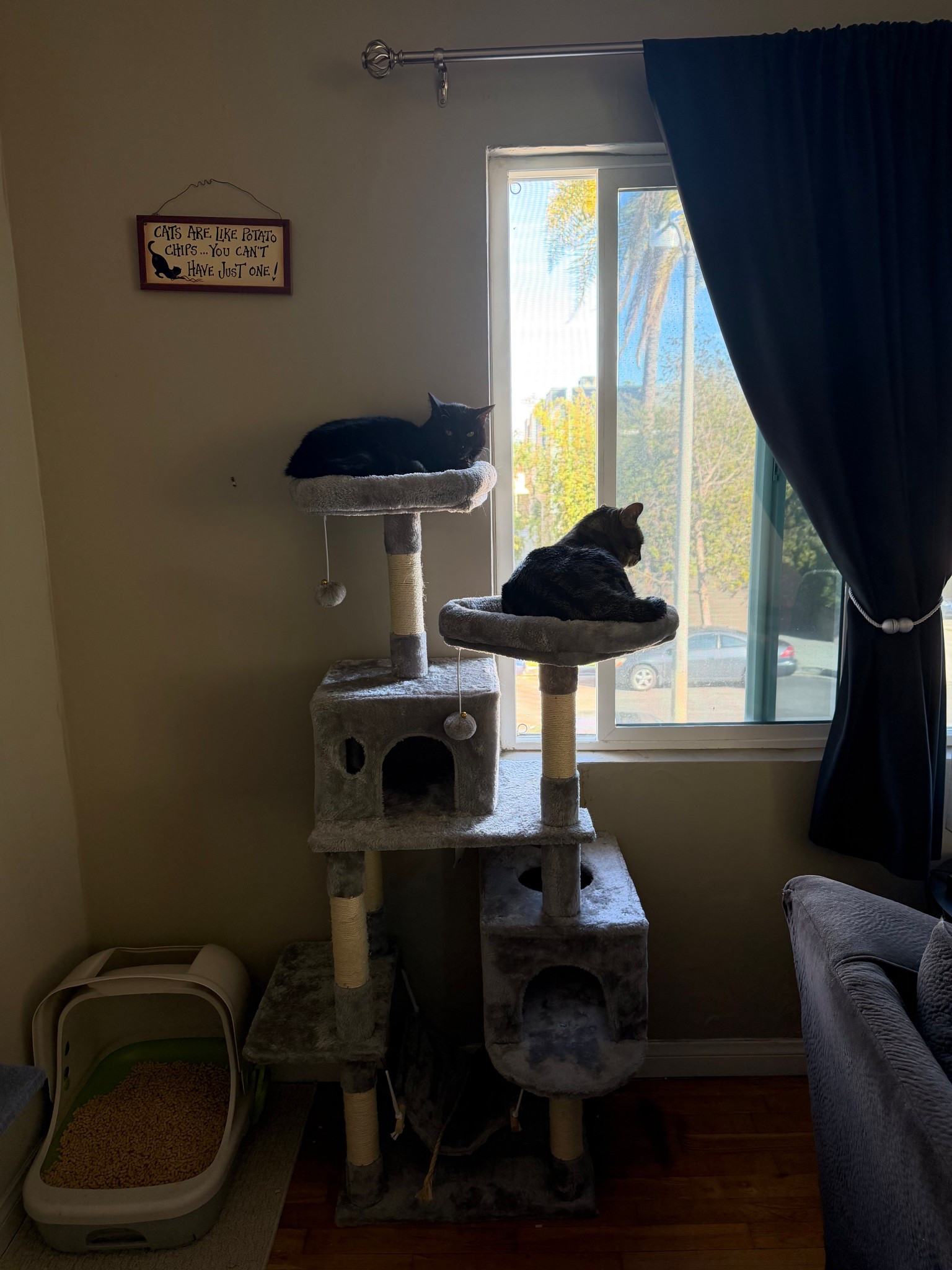 Cat tree is always a hit

#LTKHome