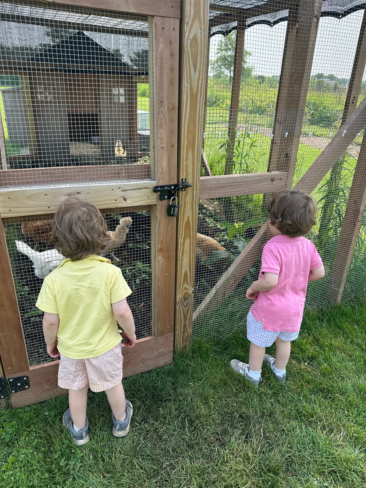 The best brand for soft Pima durable boys polos is having a 50% off warehouse sale today! 

#LTKsalealert #LTKfamily #LTKunder100