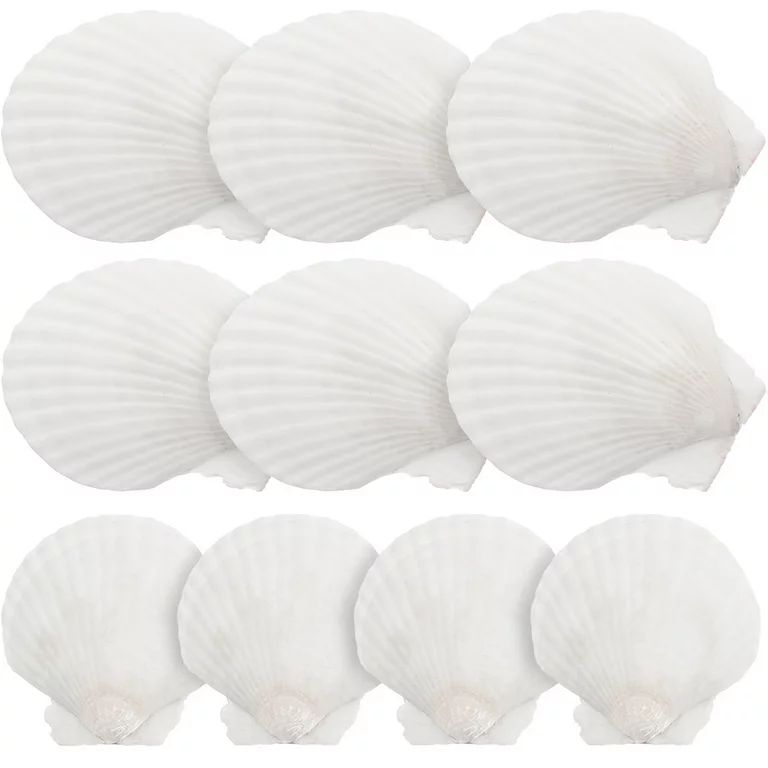 10pcs Scallop Shells DIY Seashell DIY Craft Material DIY Wedding Home Decoration - Walmart.com | Walmart (US)