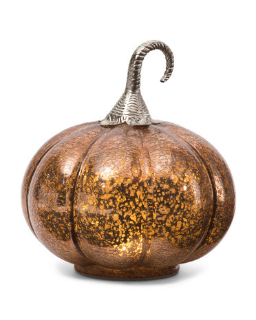 7in Led Pumpkin With Stem | TJ Maxx