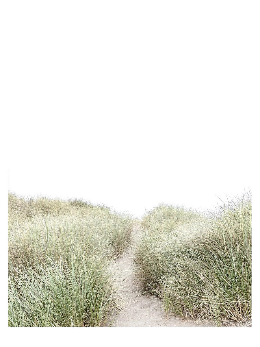 "Coastal Dunes - Horizontal" by Caroline Pacula | Serena and Lily