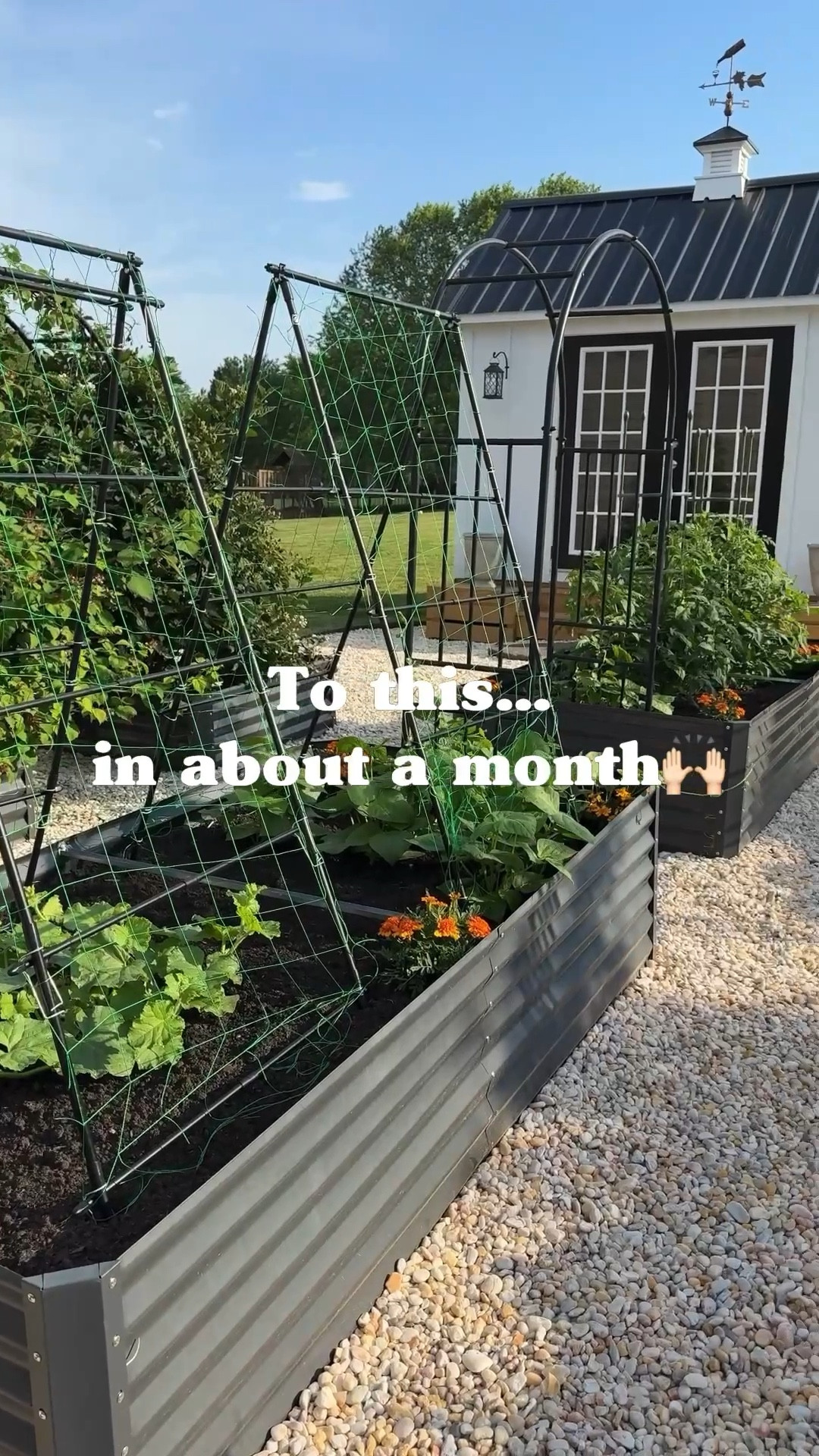 My idea of the perfect weekend plans!! My Happy Place!! The garden is in and now the magic begins. My secret? Start with the best nutrient rich soil you can find.

Raised metal garden beds, trellises, arbors, magnetic solar lights, cupola, copper weathervane, faux boxwoods, faux morning glory, pink morning glory seeds, moss birdhouse, solar lanterns, hooks, teak bench

#LTKstorytime #LTKSeasonal #LTKHome