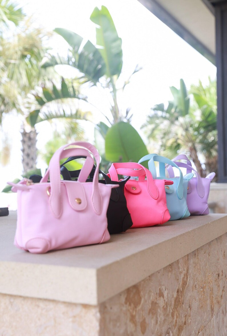 Pouchette Crossbody Bag Stoney Clover Dupe Mini Purse - Etsy | Etsy (US)