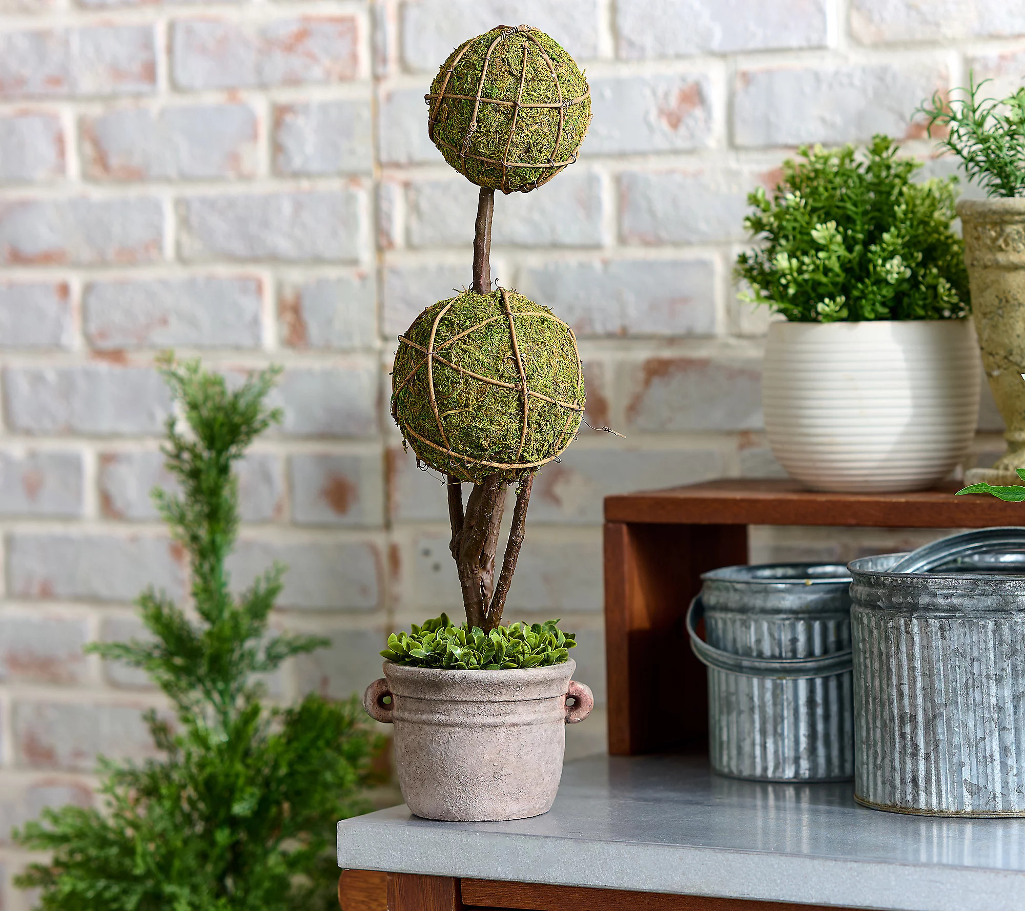 Cozy Cottage by Liz Marie Double Ball Topiary with Pot | QVC