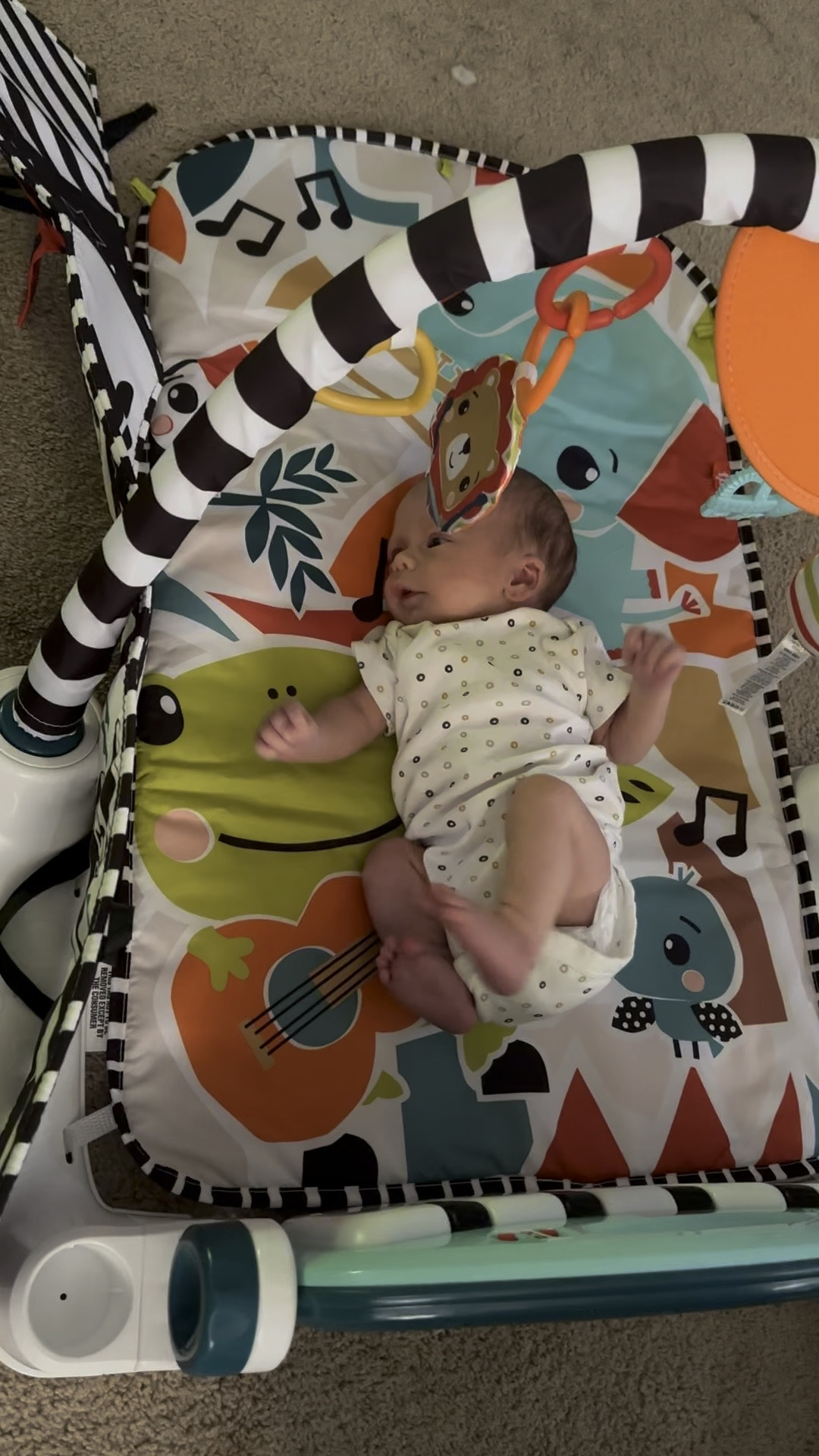 New born baby essential. Great for tummy time and learning 

#LTKBaby #LTKStyleTip #LTKKids