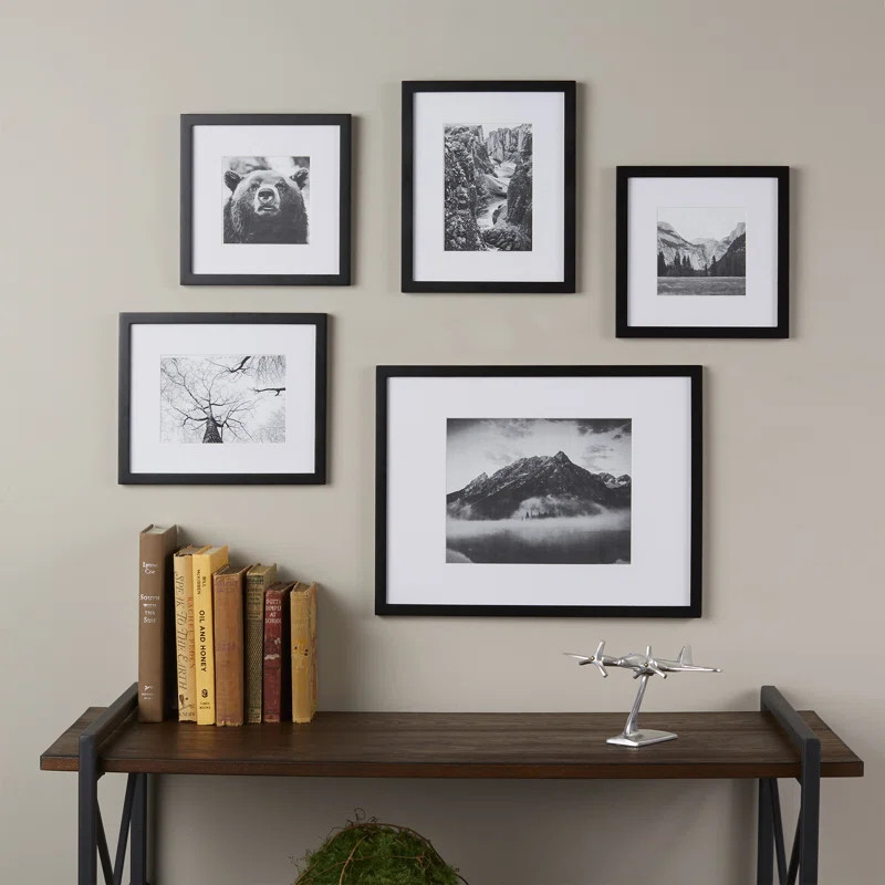5 Piece Picture Frame Set (Set of 5) | Wayfair North America