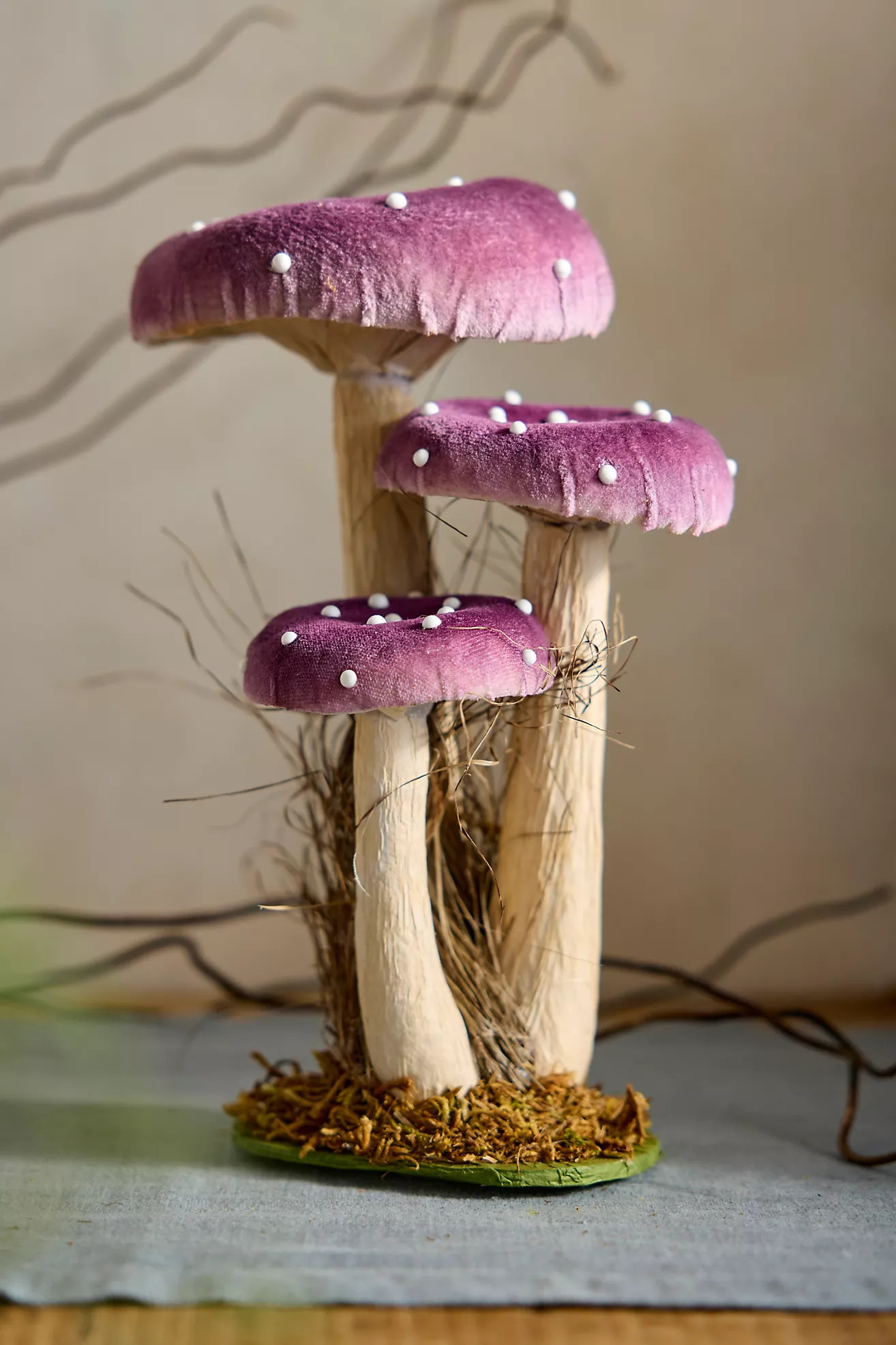 Velvet Mushrooms, Large | Terrain