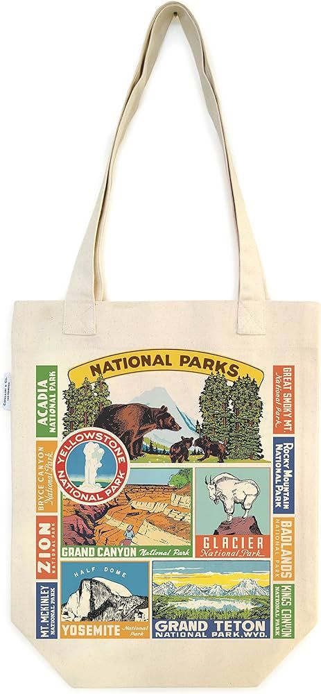 Cavallini Papers & Co., Inc. National Parks Tote Bag | Amazon (US)