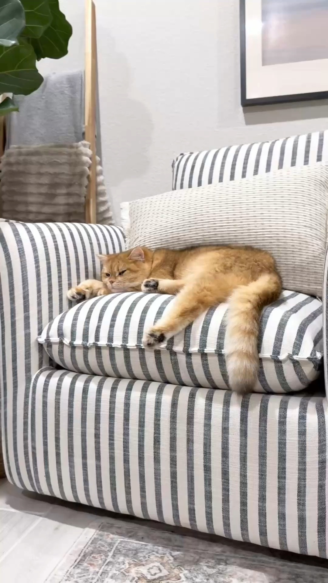 The striped swivel accent chair that’s everyone’s favorite seat in the house- including our cat 🐱

#LTKHome