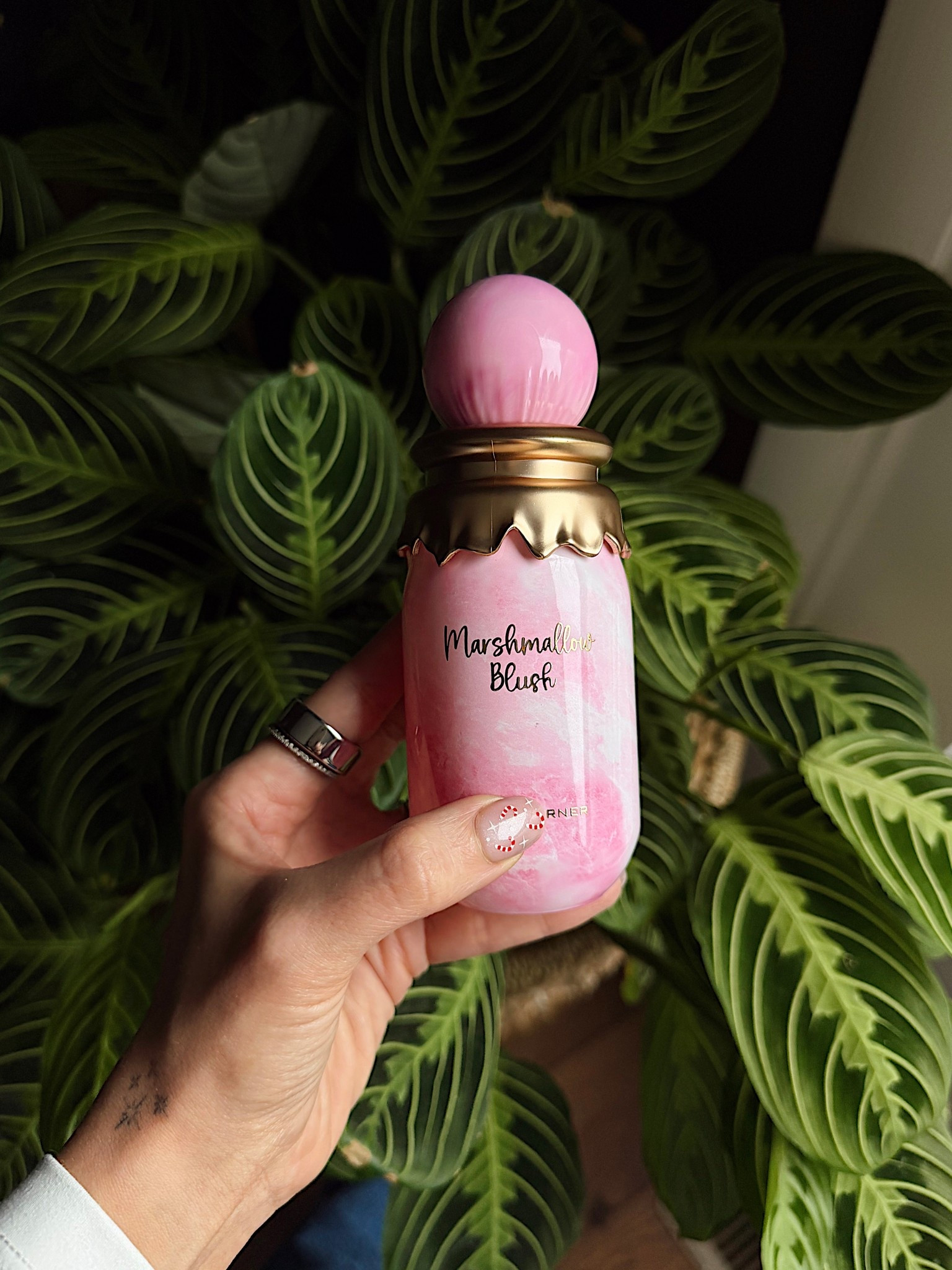 My second Marshmallow Perfume in my Collection! Compared to Pink Blush I feel that Marshmallow Blush is a bit more fruity! It has a beautiful creamy dry down that opens to marshmallow and spun sugar notes🤍 

Top Notes- Strawberry, Raspberry, Lemon
Middle- Orange Blossom , Ambroxan
Base- Marshmallow, Musk 

#LTKBeauty #LTKFindsUnder50 #LTKGiftGuide