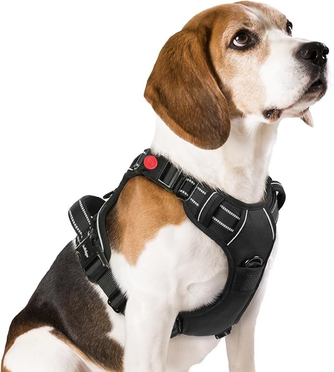 rabbitgoo Dog Harness Medium Sized, No Pull Pet Harness with 3 Buckles, Adjustable Soft Padded Do... | Amazon (US)