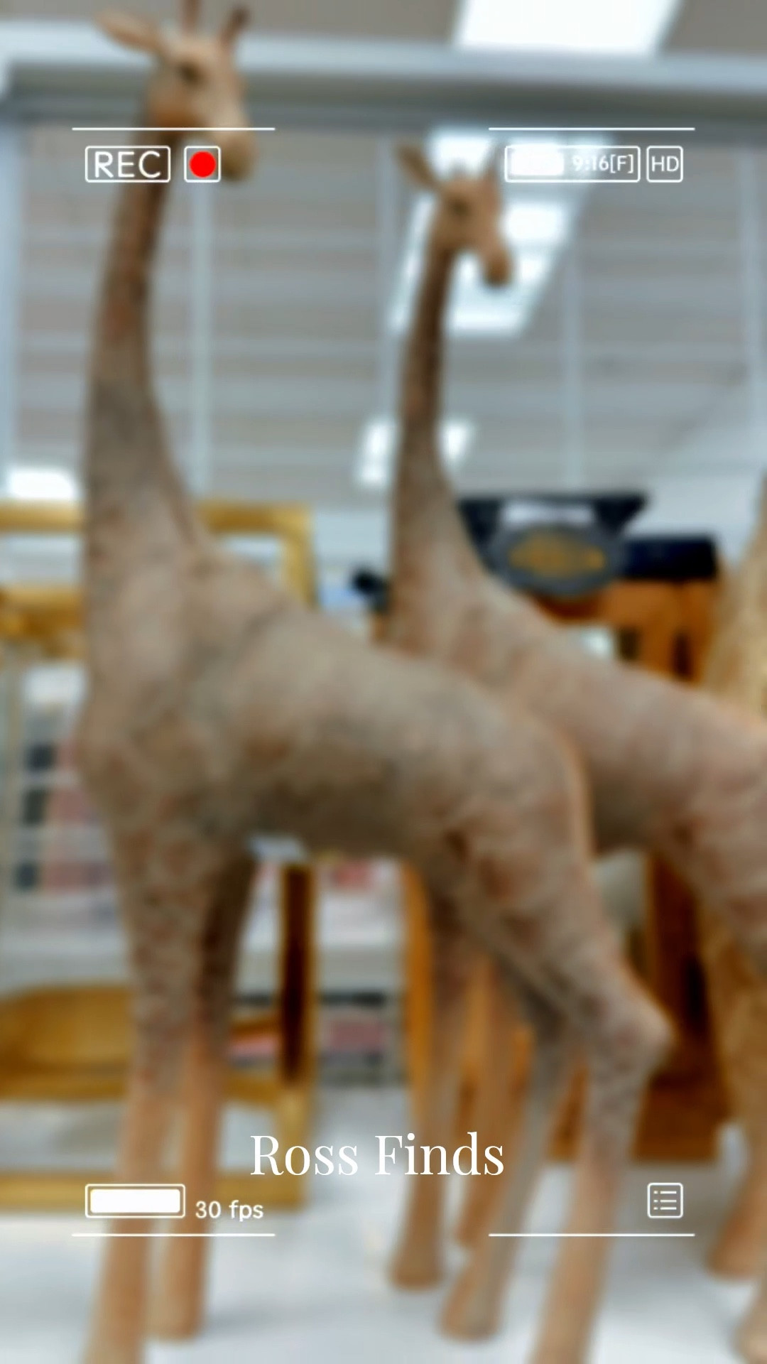 🐘✨ ROSS FINDS ALERT! ✨🐎

Ross is seriously bringing the charm right now! 😍 I found the cutest decor pieces featuring giraffes, horses, elephants, and so much more. These are perfect for adding a little character to shelves, entry tables, or even a nursery space. 🦒🤎

If you love unique statement pieces for a great price… RUN to Ross! 🏃‍♀️💨

#RossFinds #RossHaul #HomeDecorFinds #AffordableHomeDecor #DecorDeals #AnimalDecor #ShelfStyling #HomeStyling #HomeDecorInspo #BudgetDecor

#LTKHome