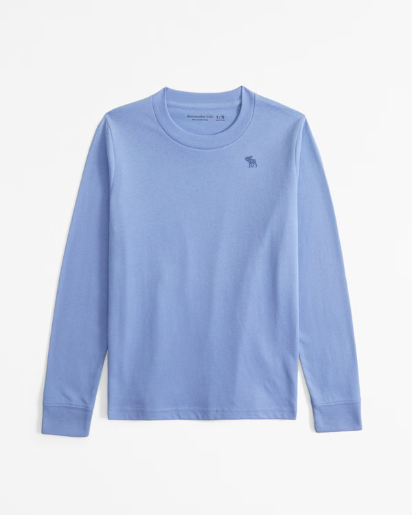 essential long-sleeve icon crew tee | Abercrombie & Fitch (US)