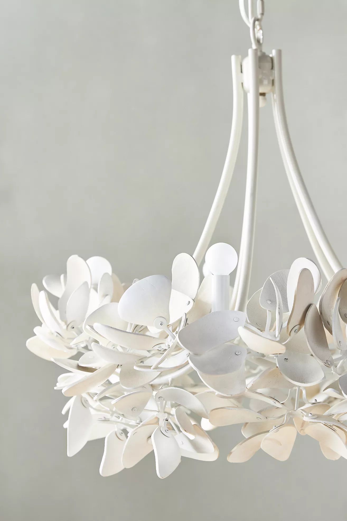 Magnolia Chandelier | Anthropologie (US)