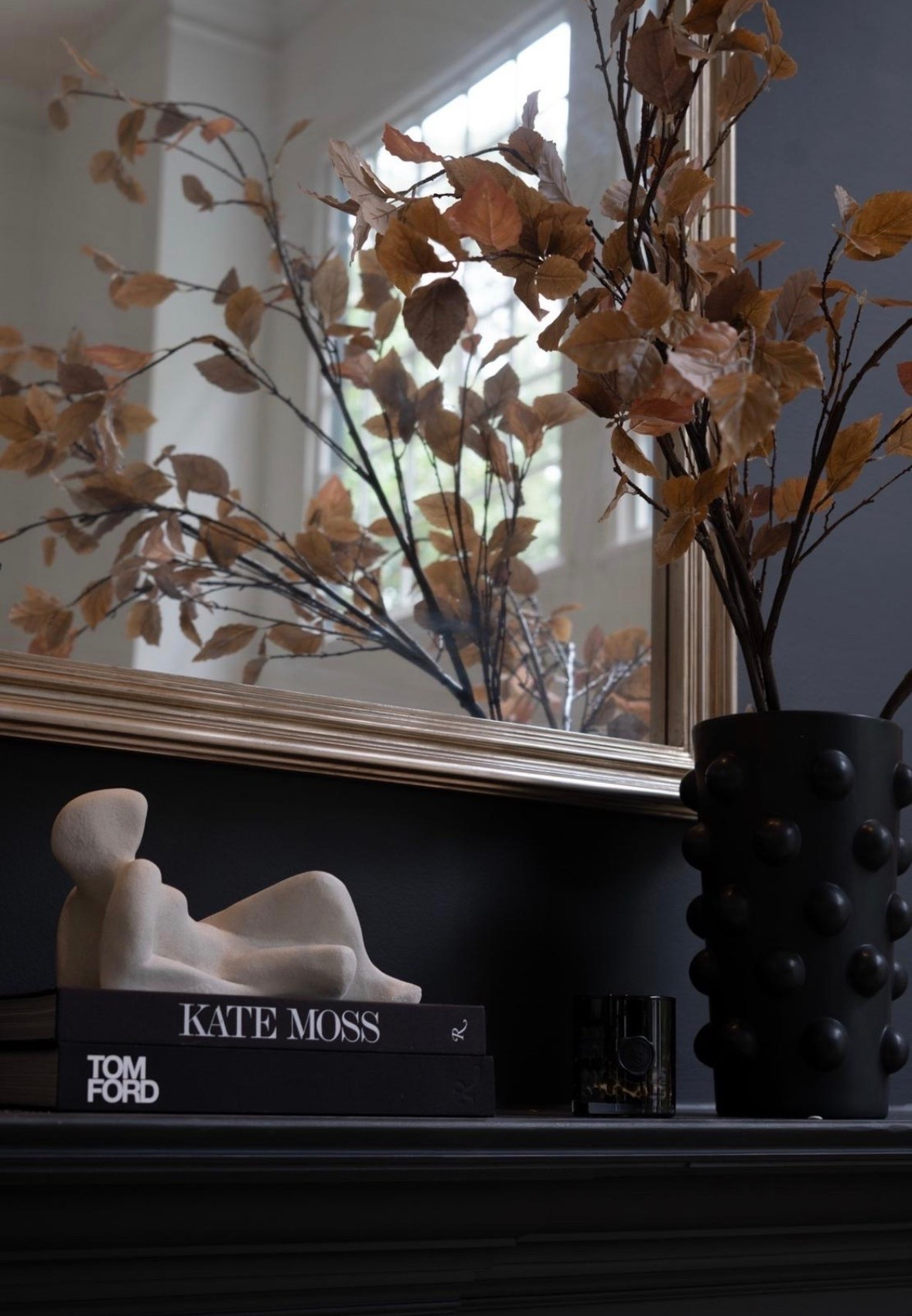 OMG, I can officially say I’ve found the missing Fall piece for my mantel!! They are the absolutely perfect faux fall branches and tie in the perfect pop of color for the moody space. These are a must add to your cart this season! #LTKStyleTip

#LTKSeasonal #LTKHome #LTKOver40