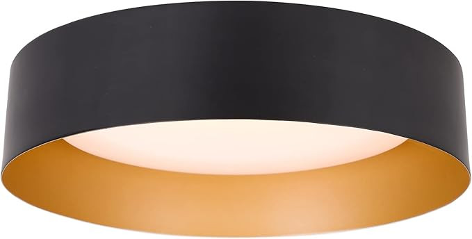 Bargeni Flush Mount Ceiling Light,12.5 inch LED Ceiling Light Fixture,Matte Black with Gold Insid... | Amazon (US)