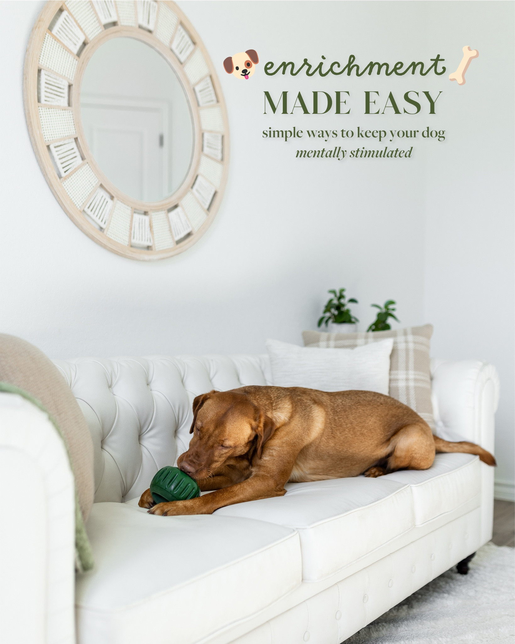 Dog enrichment toys we actually use 🐾

Puzzle feeders, lick mats, treat dispensers, and interactive toys that keep our labs mentally stimulated at home. These are some of our favorite boredom-busters for dogs!

#LTKSaleAlert #LTKHome