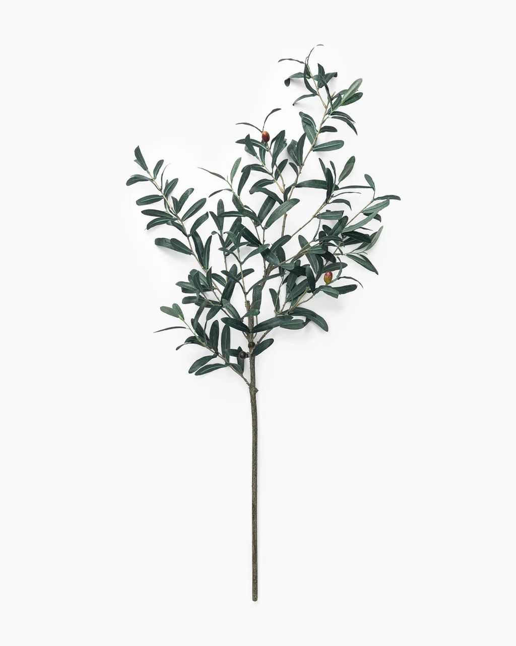 Faux Olive 36" Branch | McGee & Co.