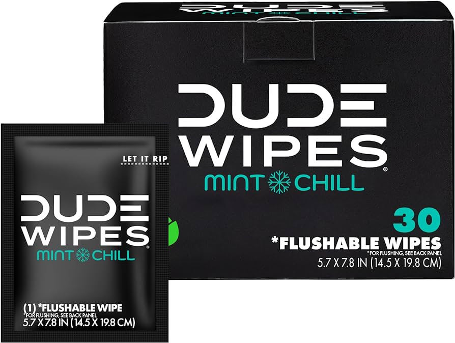 DUDE Wipes On-The-Go Flushable Wipes - 1 Pack, 30 Count - Mint Chill Extra-Large Individually Wra... | Amazon (US)