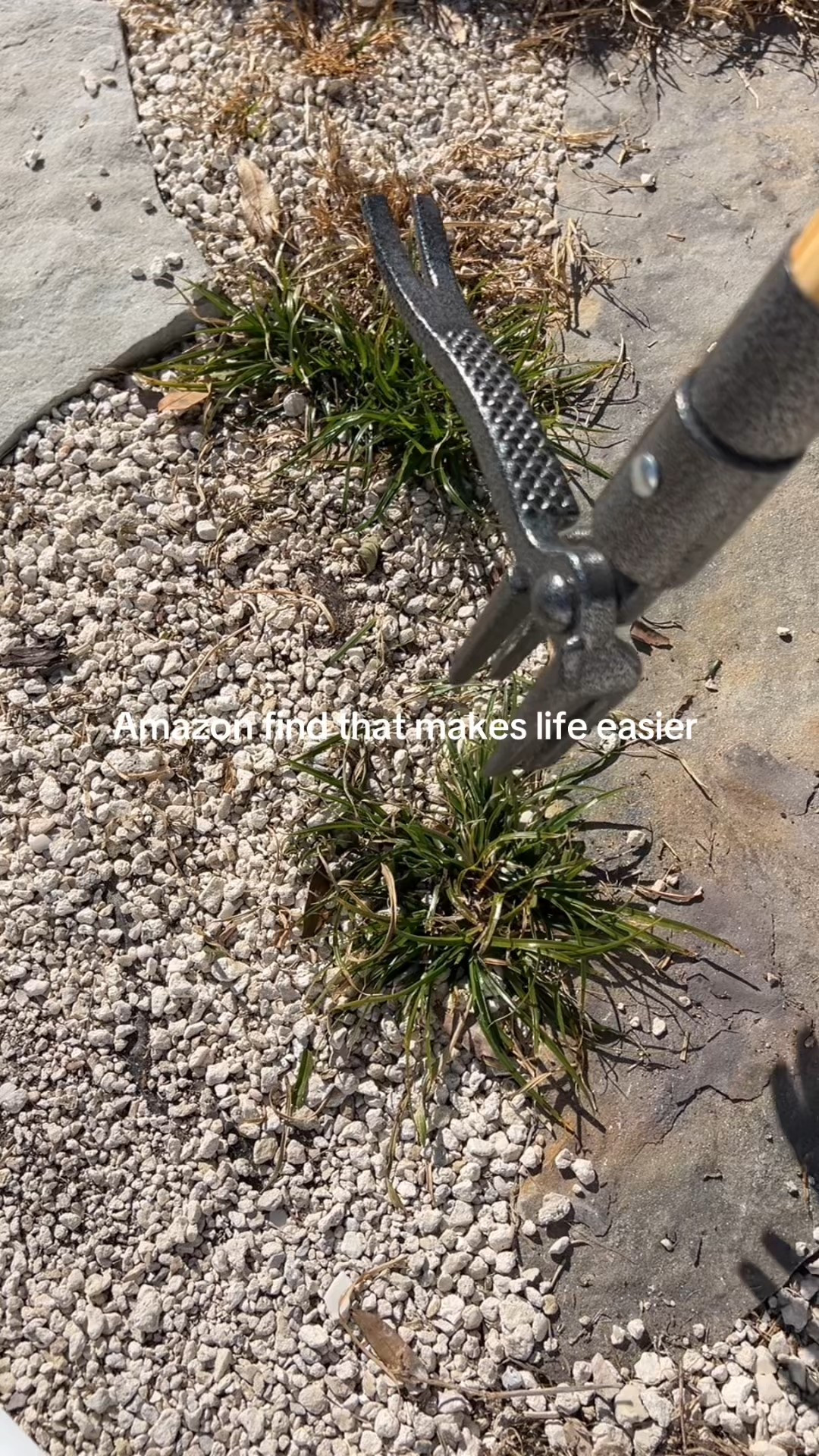 Amazon outdoor garden/yard find for weeds 