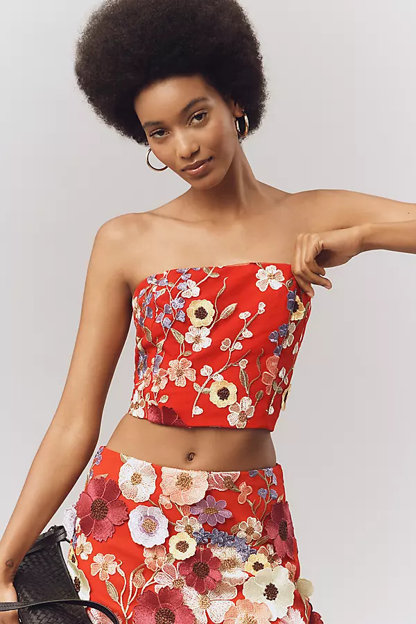 Strapless Embroidered Crop Top | Anthropologie (US)