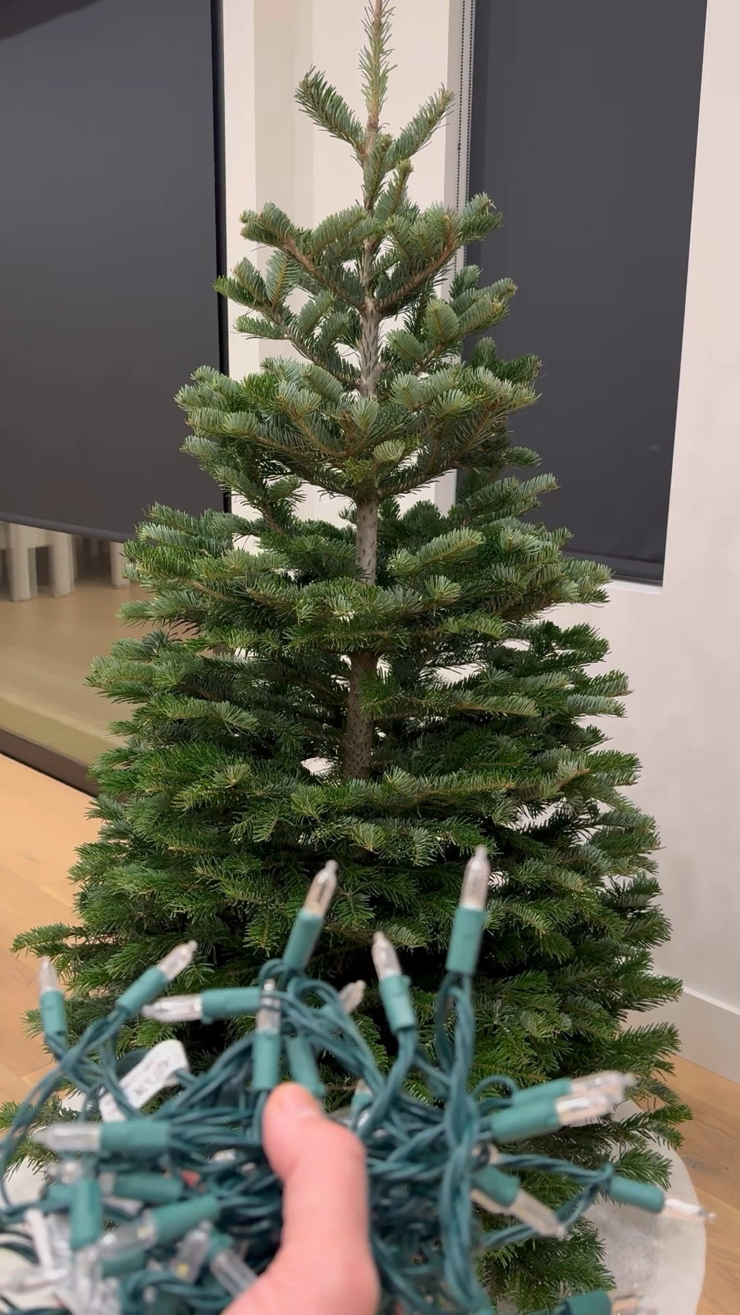 Tinsel + Ribbon Tree 🎄 The combination is perfect! And sparkly ✨ 

#LTKHoliday #LTKSeasonal #LTKhome