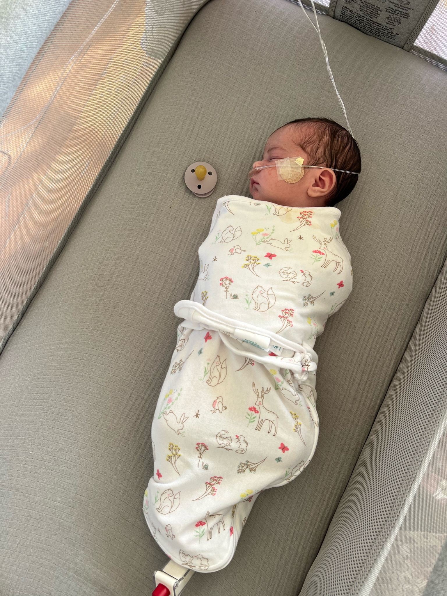 Favorite easy swaddles from Aden + anis on sale in a pack of 3! 

#LTKfindsunder50 #LTKfamily #LTKbaby