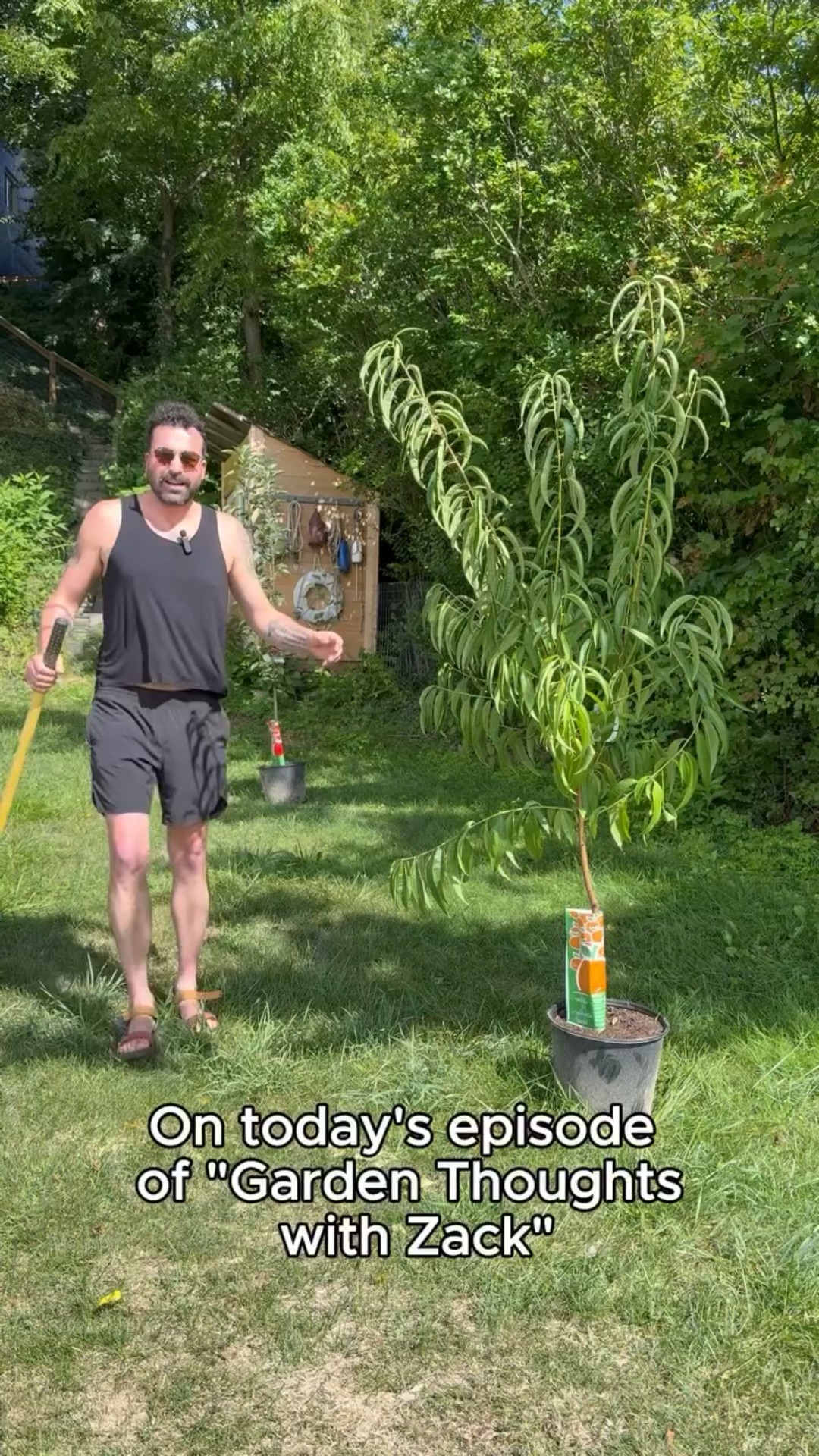 Garden Thoughts with Zack Ep. 2
I hate digging holes…
.
.
#diy #gardening #garden #plants #fruit #trees

Gardening, men’s activewear, peach tree planting, garden gifts, garden tools, hobbies 

#LTKMens #LTKHome #LTKvlog