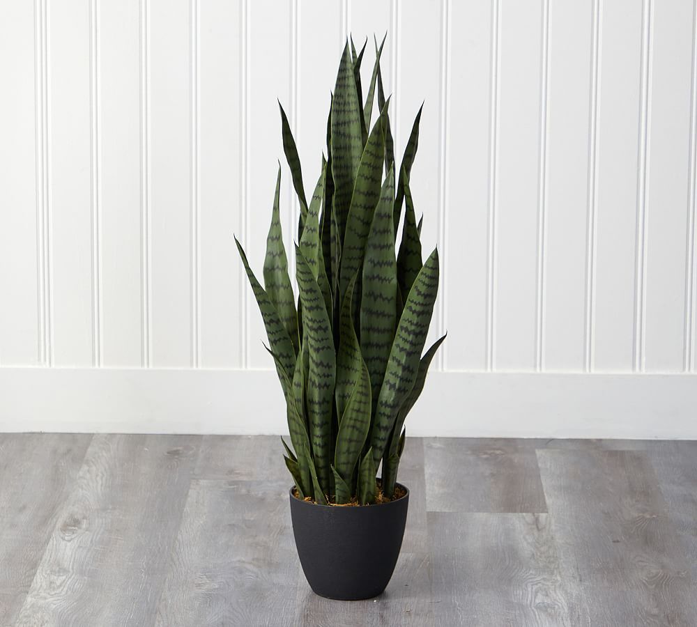 Sansevieria Faux Plant | Pottery Barn (US)