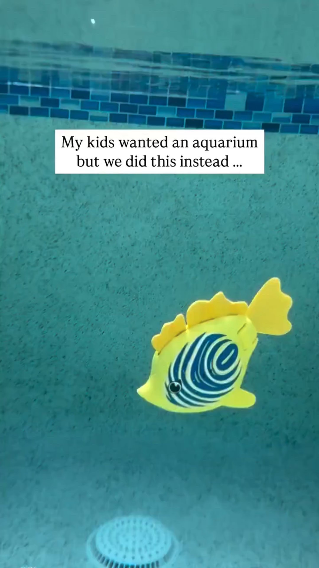 CUTE stocking stuffer! Water toy must have! 🐠😎

#backyardpool #easter #easterbasketideas #watertoy #backyard #summer #spring #outdoortoys #poolparty #poolside #pool #toddlertoys #summeractivities #summeractivitiesforkids #toddleractivities #summerwithkids #amazonfinds #wateractivities



#LTKFindsUnder50 #LTKKids #LTKGiftGuide