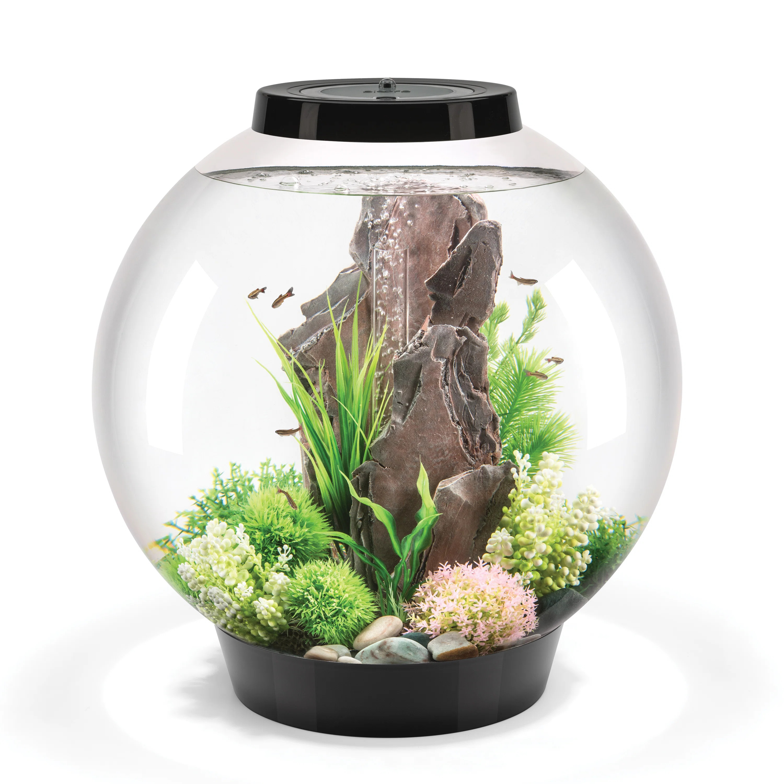 biOrb CLASSIC 60 16 Gallon Round Aquarium Tank with MCR Light | Wayfair | Wayfair North America