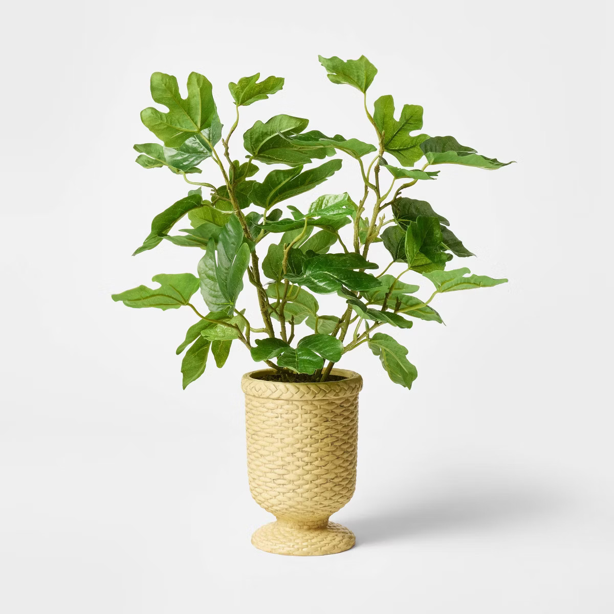 Fig Leaf Arrangement - Threshold™ designed with Studio McGee | Target