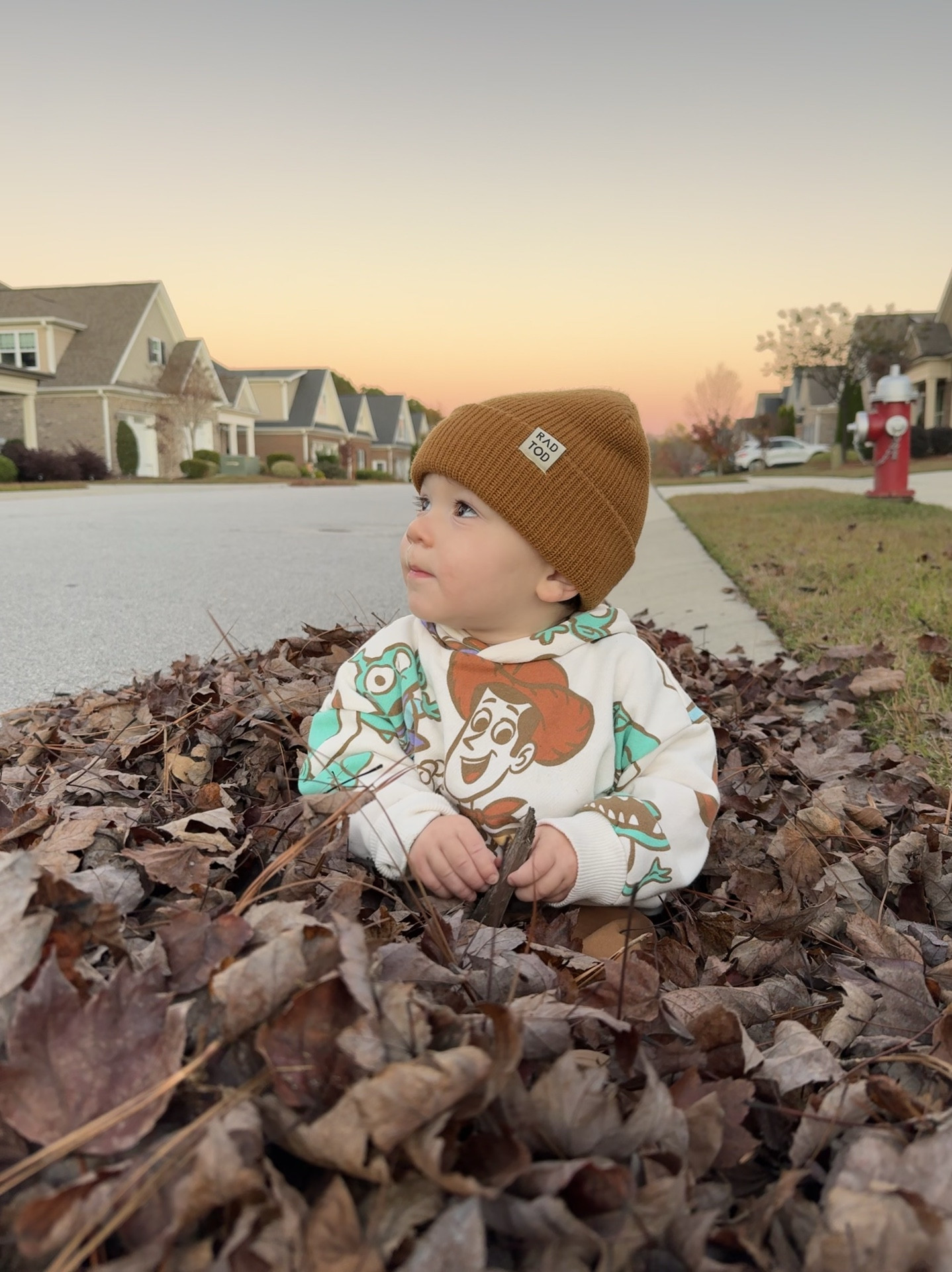 The coziest fall outfit that we both love! Of course he has his little cowboy boots on under there to look just like woody. This kiddo loves Toy Story and this set looks pricey at a budget price!

#LTKFamily #LTKSeasonal #LTKKids