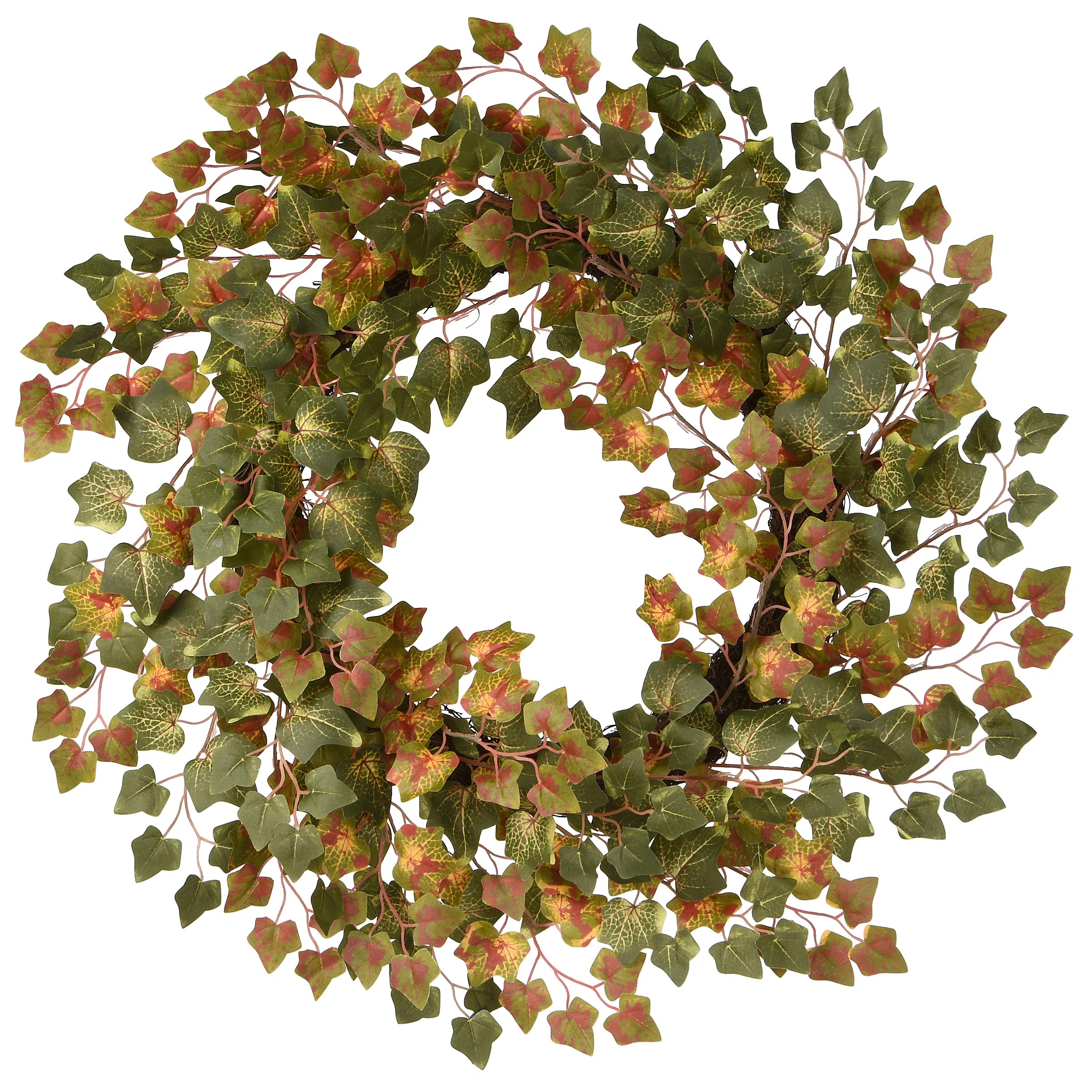 24" Harvest Green Ivy Wreath | Wayfair North America